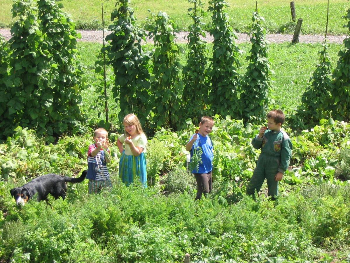 Farma Tourist Farm Mulej Bled