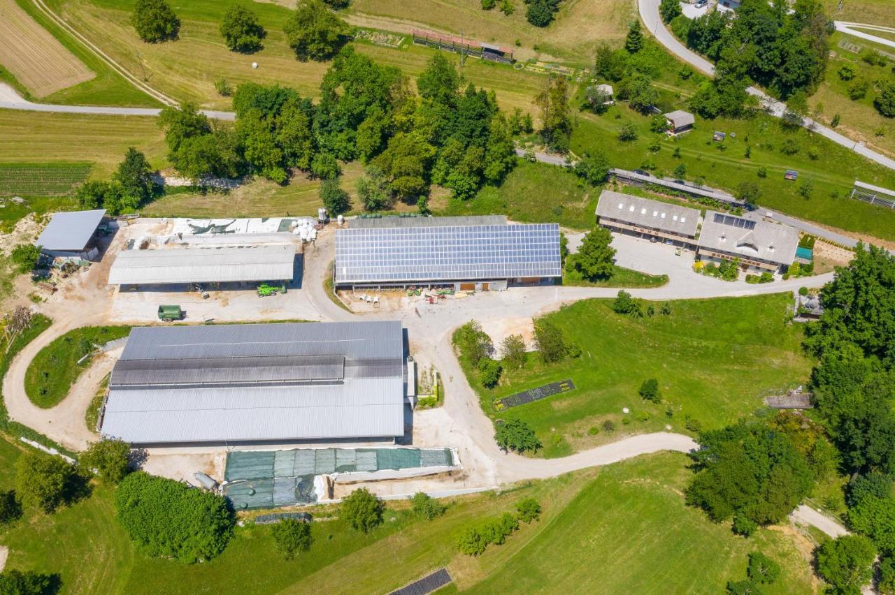 Tourist Farm Mulej