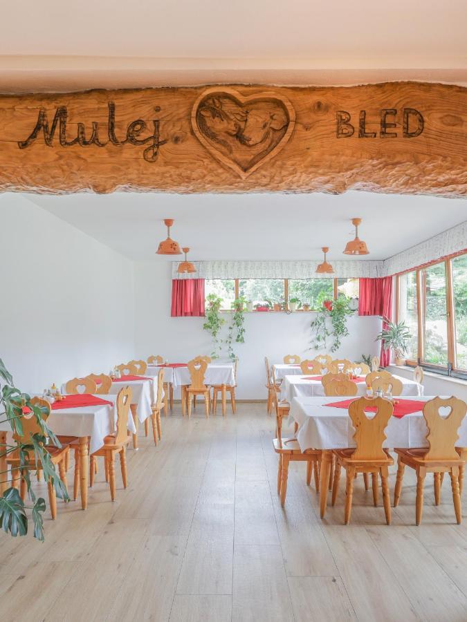 Tourist Farm Mulej Farma