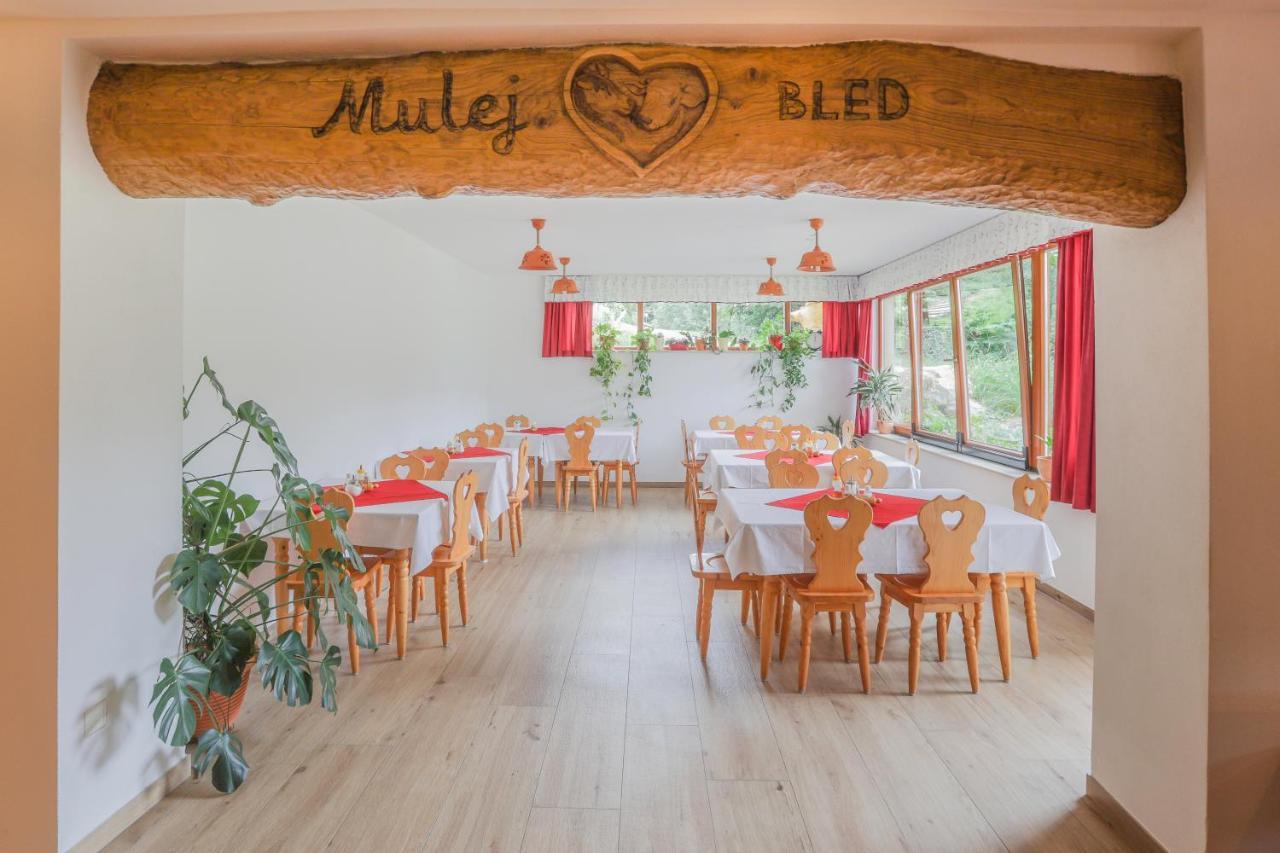 Tourist Farm Mulej Farma *
