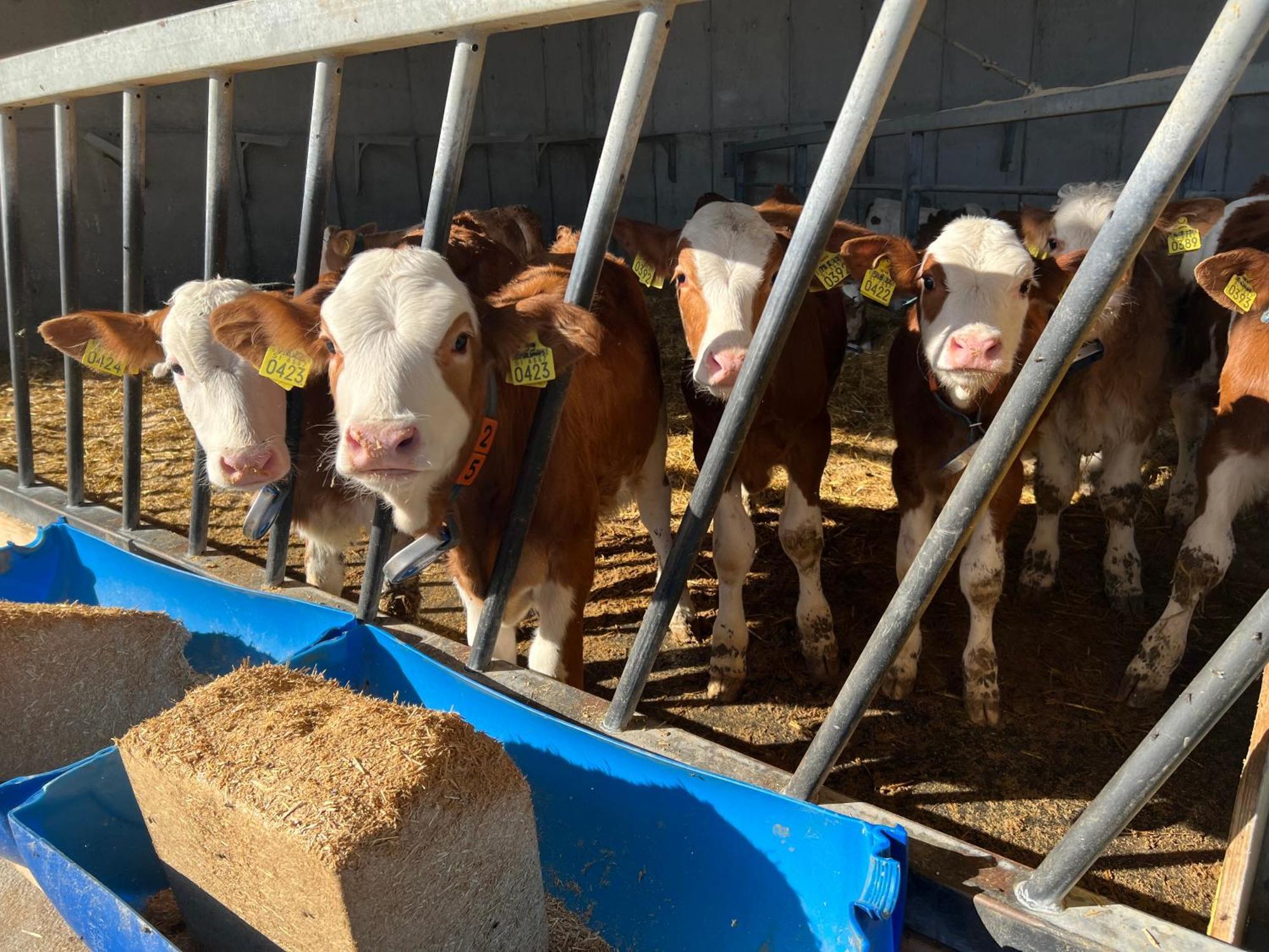 Farma Tourist Farm Mulej *